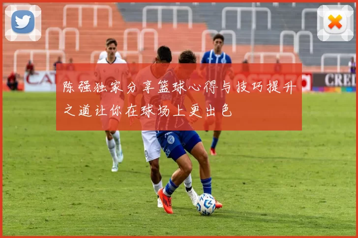 陈强独家分享篮球心得与技巧提升之道让你在球场上更出色