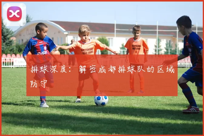 排球深度：解密成都排球队的区域防守