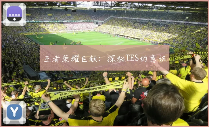 王者荣耀巨献：探秘TES的意识