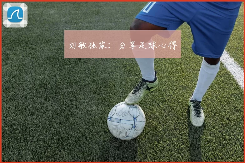 刘敏独家：分享足球心得