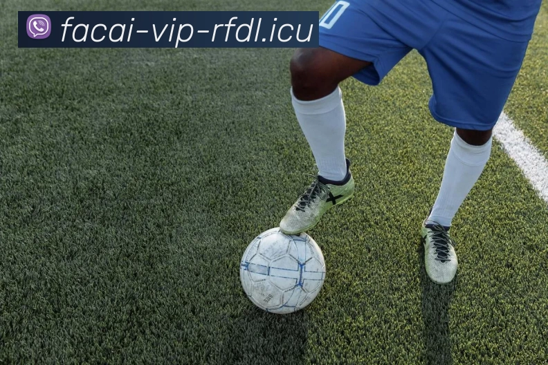 星空体育发展历程